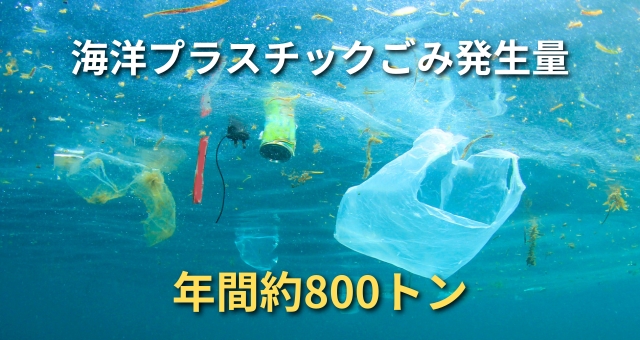 海洋プラスチックごみ問題とは
