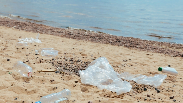 自然の中にプラスチック