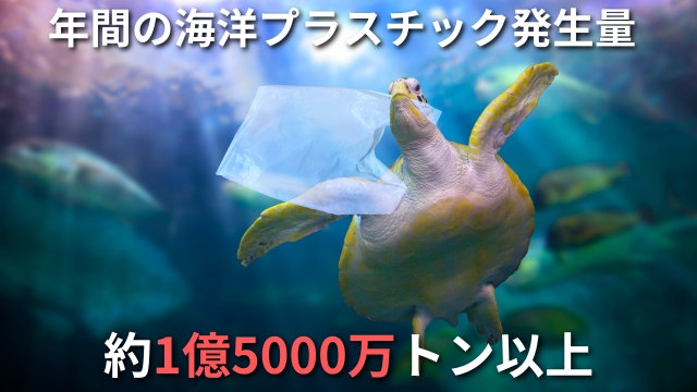 ウミガメとプラスチック