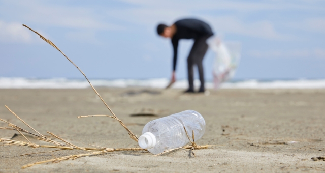 プラスチックごみの回収活動に参加する