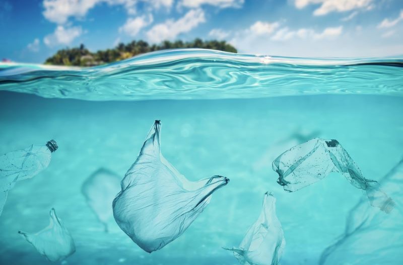 海洋プラスチックごみ問題とは