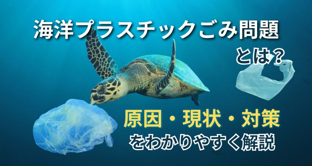 海洋プラスチックごみ問題とは？原因・現状・企業ができる対策をわかりやすく解説