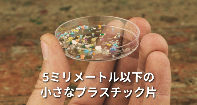 マイクロプラスチックの説明