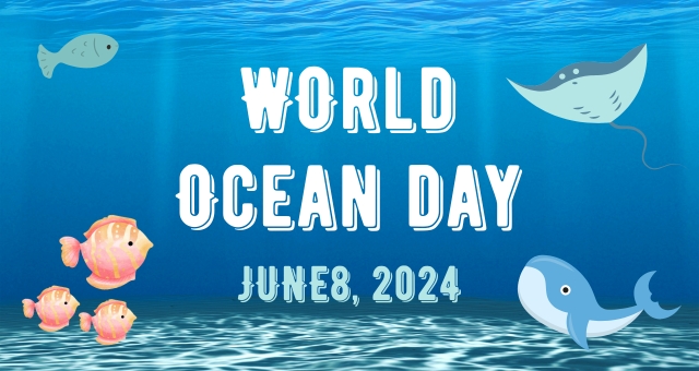202406世界海洋デーは何の日？海洋汚染や海ごみ問題解決に向けて私たちができること