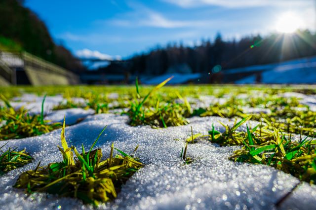 雪が溶けた様子イメージ.