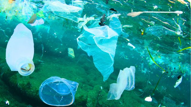 国際プラスチック条約が注目される背景_海洋プラスチックごみ問題（イメージ）