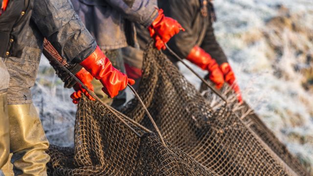 漁業系プラスチックごみ問題とは（イメージ）