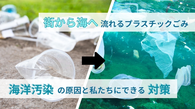 街から海へ。海洋プラスチックごみ汚染の原因と私たちにできる対策とは？