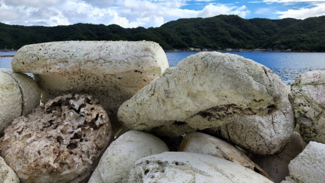 漂着フロートごみの「海洋ごみ化問題」